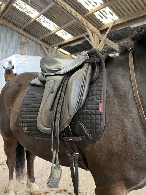 Sella da dressage Henri de Rivel  17.5" - 2023