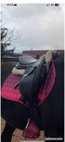 Sella mista Baude  17" - 2012