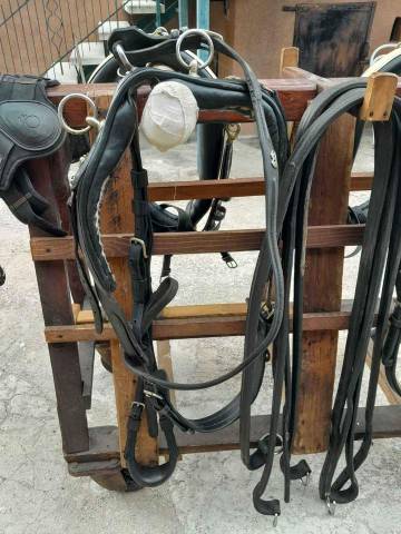 Finimenti per pariglia di cavalli fatti su misura