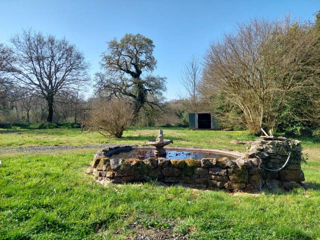 Azienda equestre In vendita Côte d'Armor