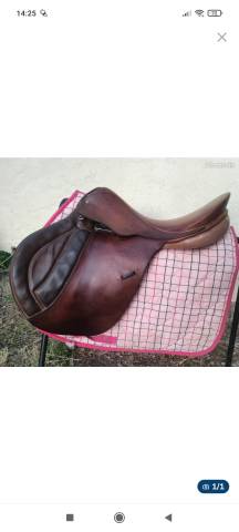 Sella mista   17.5" - 1995