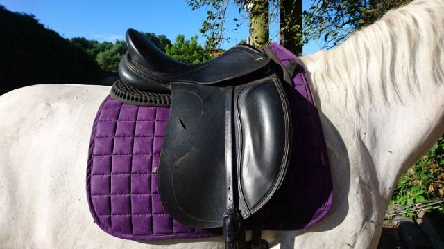 Sella da dressage Tekna  17.5" - 2020