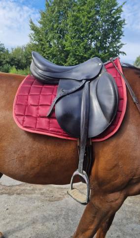 Sella mista Forestier  17" - 2014