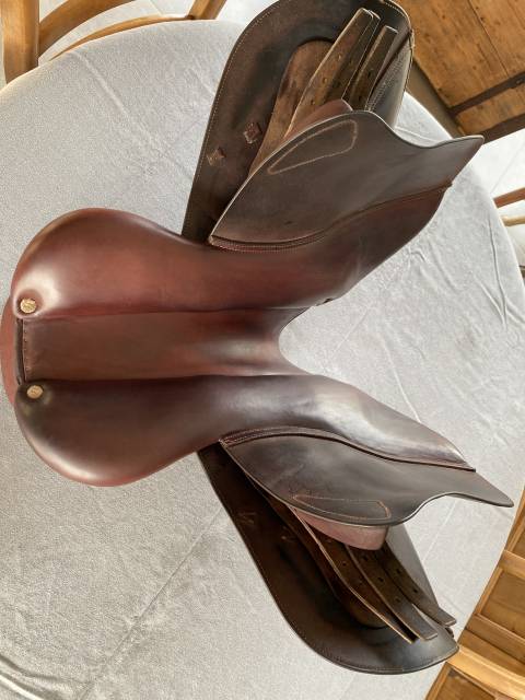 Sella da salto ostacoli CWD  16.5" - 2016