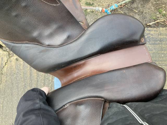 Sella da salto ostacoli Forestier Club 17" - 2019