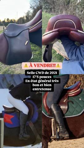 Sella da salto ostacoli CWD  17.5" - 2021