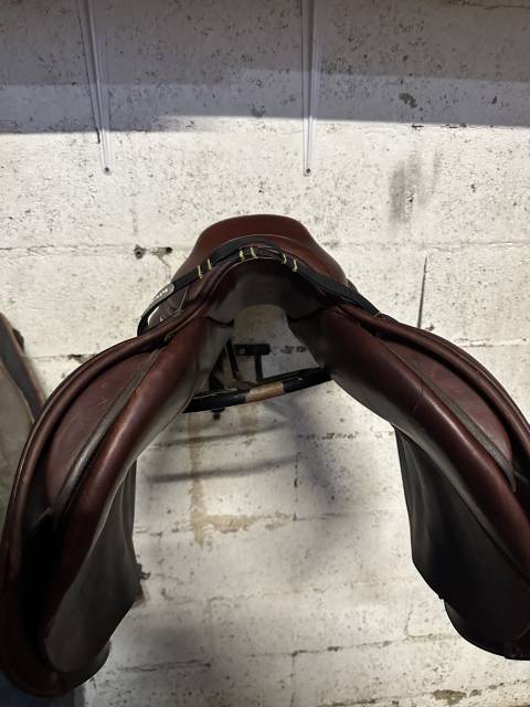 Sella da salto ostacoli CWD  17.5" - 2021