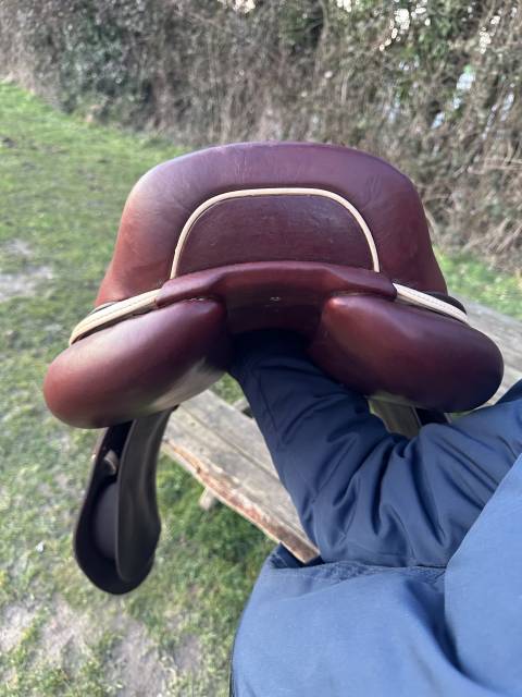 Sella da salto ostacoli CWD  17.5" - 2021