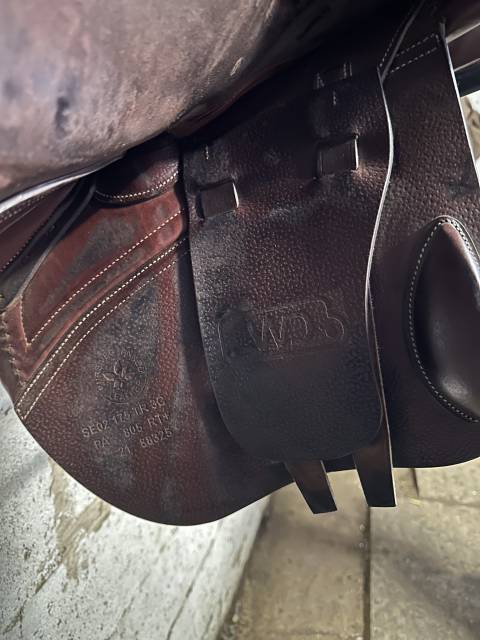 Sella da salto ostacoli CWD  17.5" - 2021