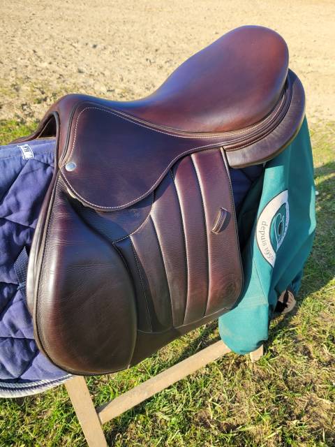 Sella mista Forestier  17.5" - 2022