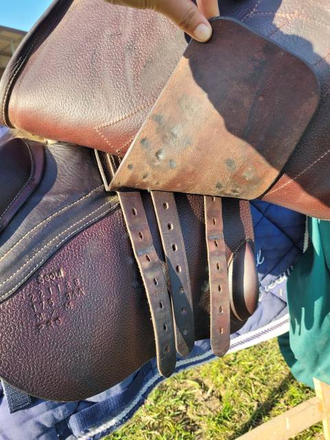 Sella mista Forestier  17.5" - 2022