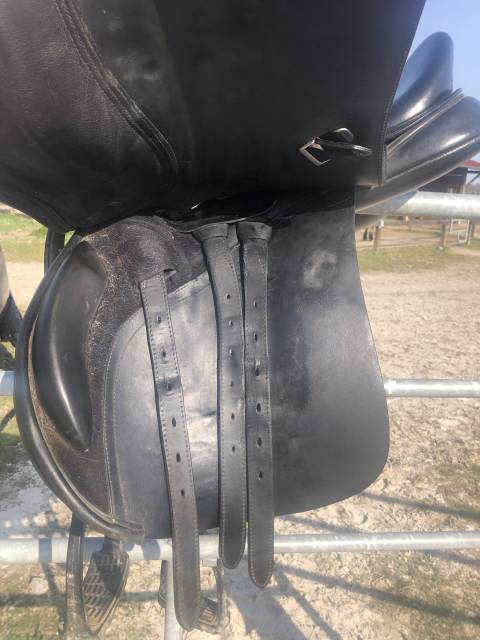 Sella mista Bates  17" - 2009