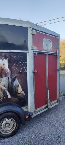 Trailer Ifor Williams  2 Cavalli 2010 Occasione