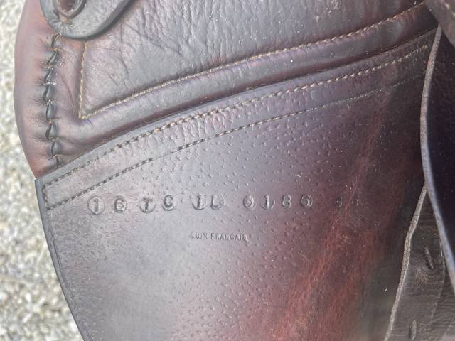 Sella da salto ostacoli CWD  16" - 2006