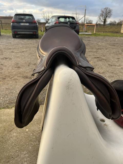 Sella da salto ostacoli CWD  17.5" - 2023