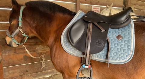 Sella mista Forestier Club  17" - 2023