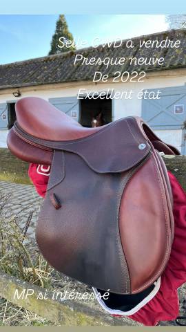 Sella mista CWD  17.5" - 2022