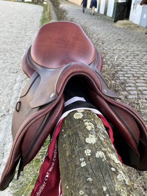 Sella mista CWD  17.5" - 2022