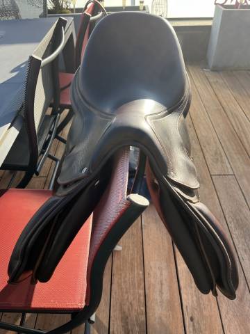 Sella da salto ostacoli Antarès  17" - 2022