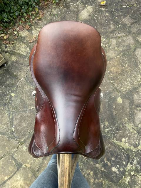 Sella da salto ostacoli GBS  17" - 2020