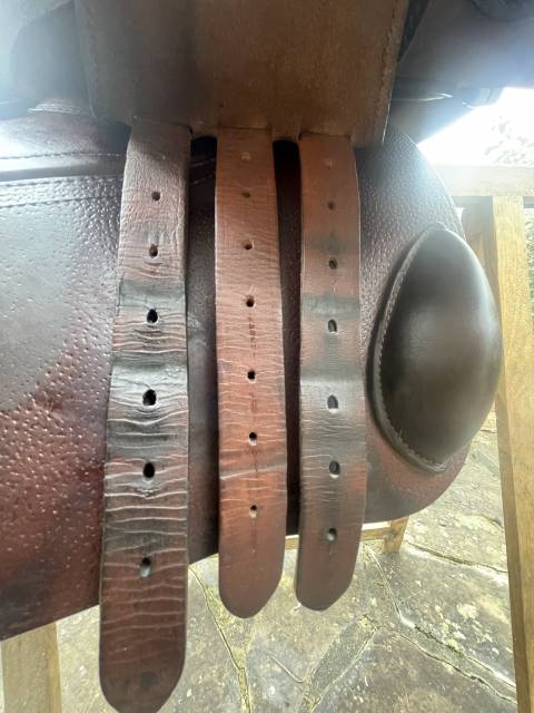 Sella da salto ostacoli GBS  17" - 2020