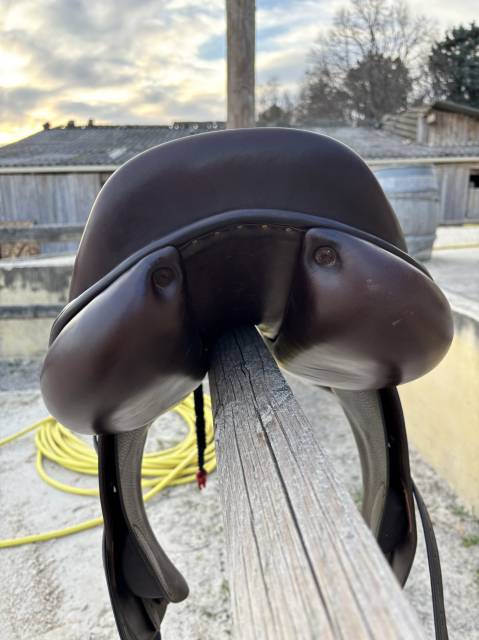 Sella da salto ostacoli Childeric  17.5" - 2022