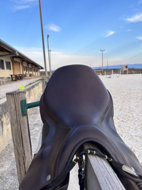 Sella da salto ostacoli Childeric  17.5" - 2022