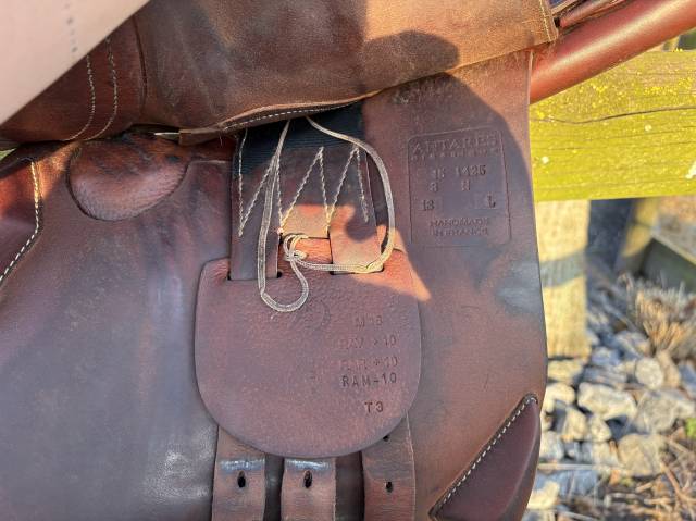 Sella da salto ostacoli Antar&egrave;s  18" - 2015