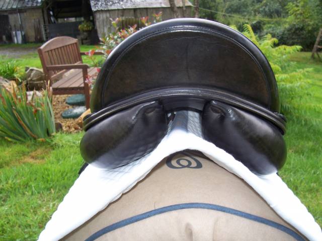 Sella da dressage Amerigo  18" - 2018