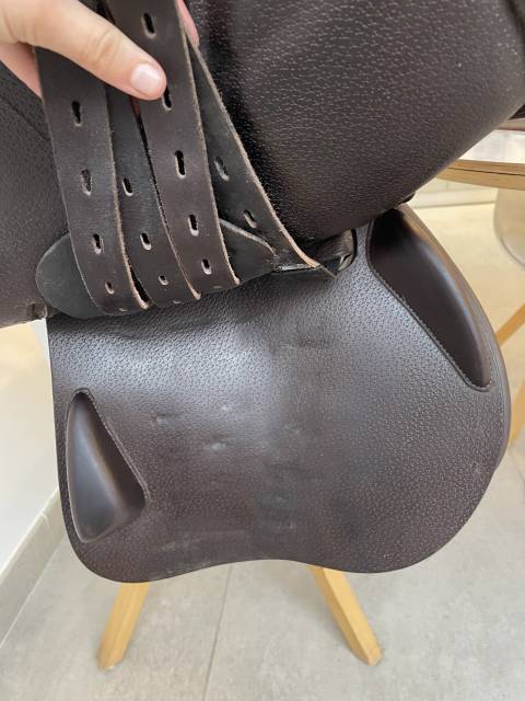 Sella da salto ostacoli Equipe  17.5" - 2023