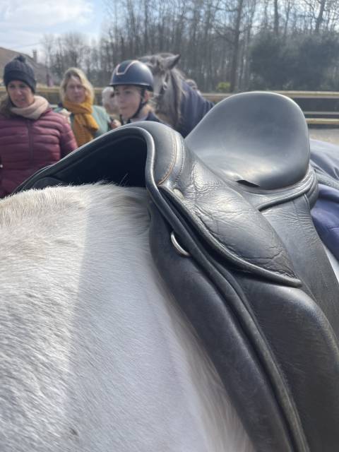 Sella da dressage Childeric  17" - 2001