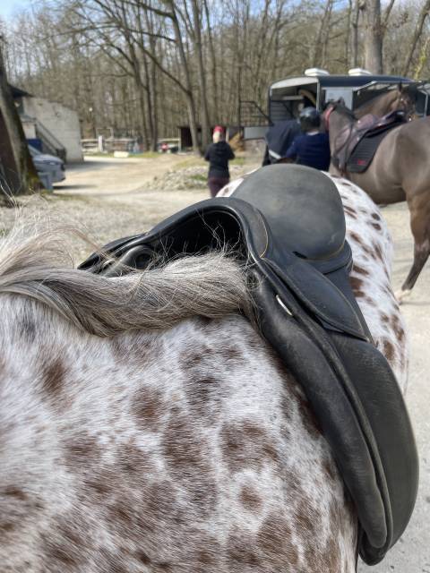 Sella da dressage Childeric  17" - 2001