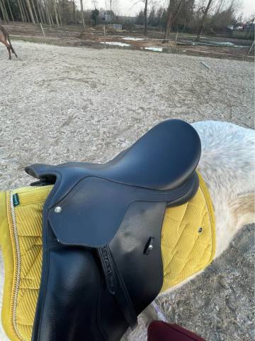 Sella mista Wintec  17.5" - 2023