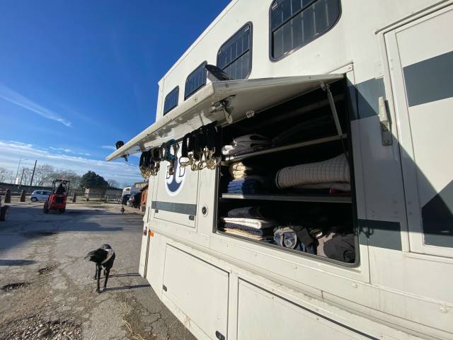 Camion per Cavalli Scania R420 2009 Occasione