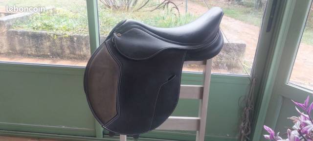 Sella da salto ostacoli Norton  17" - 2021