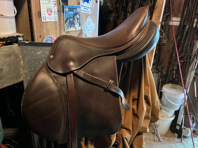 Sella mista Forestier  17.5" - 2019