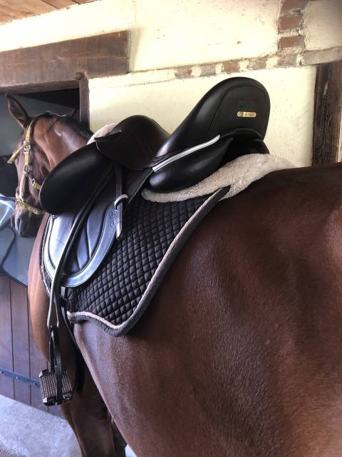 Sella da dressage  CWD  17.5" - 2020
