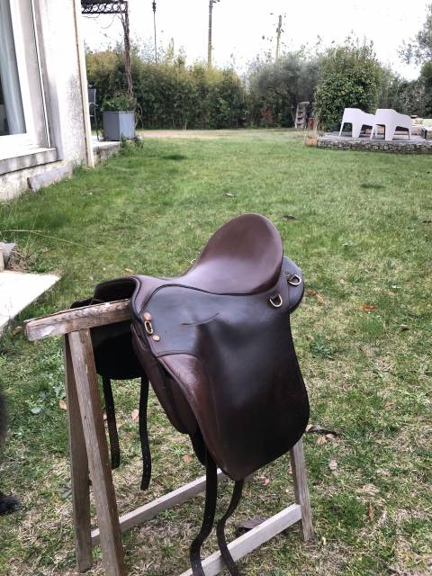 Sella da endurance Sommer  17" - 2016