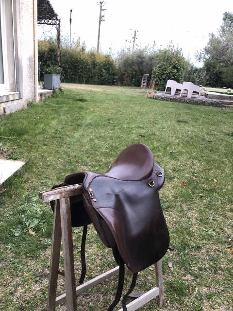 Sella da endurance Sommer  17" - 2016