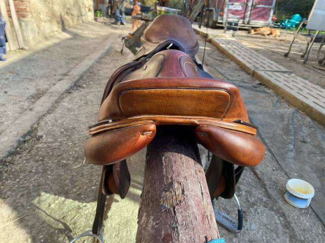 Sella da salto ostacoli Ikonic  17" - 2022