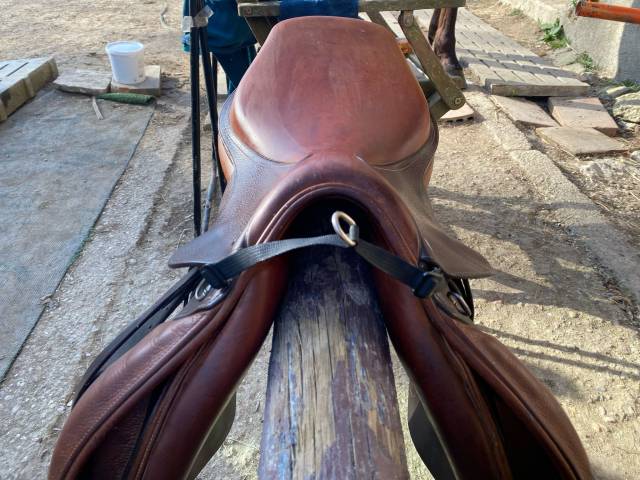 Sella da salto ostacoli Ikonic  17" - 2022