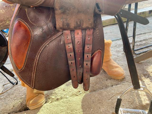 Sella da salto ostacoli Ikonic  17" - 2022