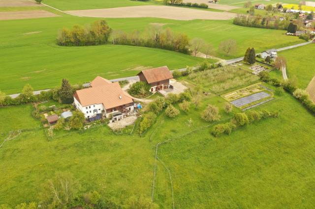 Azienda equestre In vendita Vaud