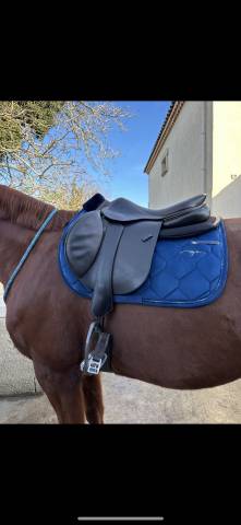 Sella da salto ostacoli Forestier  17.5" - 2019