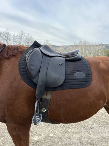 Sella da salto ostacoli Forestier  17.5" - 2019