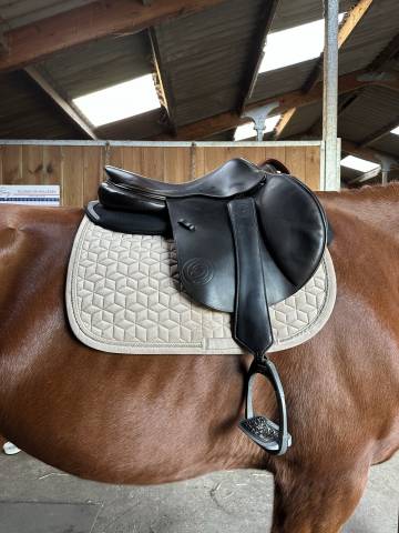 Sella da salto ostacoli Forestier  17.5" - 2019