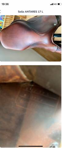 Sella da salto ostacoli Antarès  17" - 1995