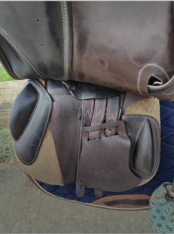 Sella da salto ostacoli Prestige Italia  17.5" - 2016