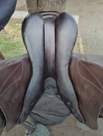 Sella da salto ostacoli Prestige Italia  17.5" - 2016