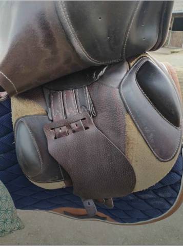 Sella da salto ostacoli Prestige Italia  17.5" - 2016